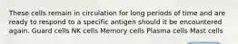 These cells remain in circulation for long periods of time and are ready to respond to a specific antigen should it be encountered again. Guard cells NK cells Memory cells Plasma cells Mast cells