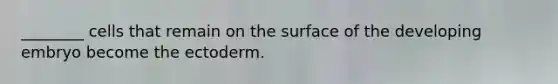 ________ cells that remain on the surface of the developing embryo become the ectoderm.