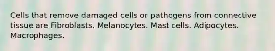 Cells that remove damaged cells or pathogens from connective tissue are Fibroblasts. Melanocytes. Mast cells. Adipocytes. Macrophages.