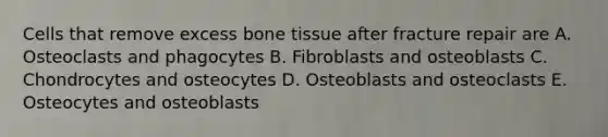 Cells that remove excess bone tissue after fracture repair are A. Osteoclasts and phagocytes B. Fibroblasts and osteoblasts C. Chondrocytes and osteocytes D. Osteoblasts and osteoclasts E. Osteocytes and osteoblasts