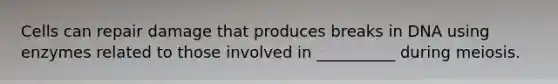 Cells can repair damage that produces breaks in DNA using enzymes related to those involved in __________ during meiosis.