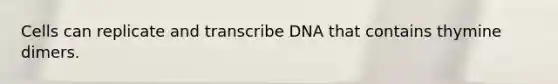 Cells can replicate and transcribe DNA that contains thymine dimers.