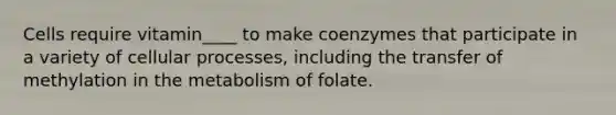 Cells require vitamin____ to make coenzymes that participate in a variety of cellular processes, including the transfer of methylation in the metabolism of folate.