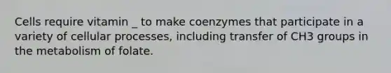 Cells require vitamin _ to make coenzymes that participate in a variety of cellular processes, including transfer of CH3 groups in the metabolism of folate.