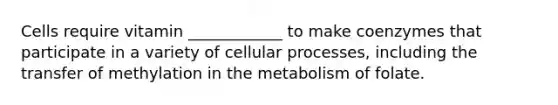 Cells require vitamin ____________ to make coenzymes that participate in a variety of cellular processes, including the transfer of methylation in the metabolism of folate.