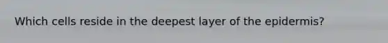 Which cells reside in the deepest layer of <a href='https://www.questionai.com/knowledge/kBFgQMpq6s-the-epidermis' class='anchor-knowledge'>the epidermis</a>?