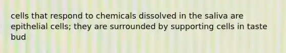 cells that respond to chemicals dissolved in the saliva are epithelial cells; they are surrounded by supporting cells in taste bud