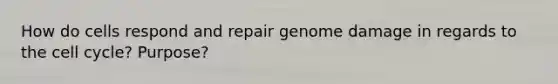 How do cells respond and repair genome damage in regards to the cell cycle? Purpose?