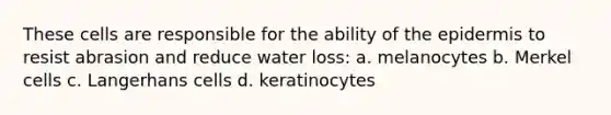 These cells are responsible for the ability of the epidermis to resist abrasion and reduce water loss: a. melanocytes b. Merkel cells c. Langerhans cells d. keratinocytes