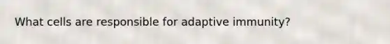 What cells are responsible for adaptive immunity?