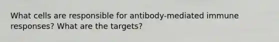 What cells are responsible for antibody-mediated immune responses? What are the targets?