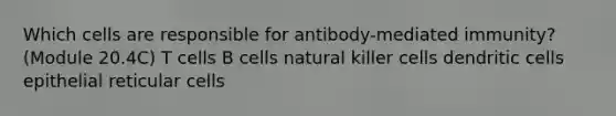 Which cells are responsible for antibody-mediated immunity? (Module 20.4C) T cells B cells natural killer cells dendritic cells epithelial reticular cells