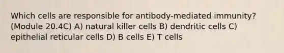 Which cells are responsible for antibody-mediated immunity? (Module 20.4C) A) natural killer cells B) dendritic cells C) epithelial reticular cells D) B cells E) T cells