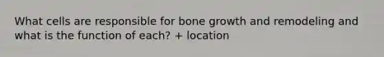 What cells are responsible for bone growth and remodeling and what is the function of each? + location