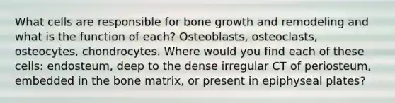 What cells are responsible for bone growth and remodeling and what is the function of each? Osteoblasts, osteoclasts, osteocytes, chondrocytes. Where would you find each of these cells: endosteum, deep to the dense irregular CT of periosteum, embedded in the bone matrix, or present in epiphyseal plates?