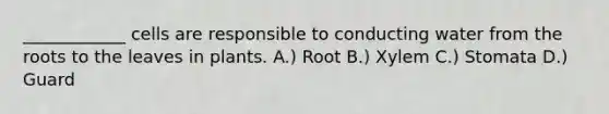 ____________ cells are responsible to conducting water from the roots to the leaves in plants. A.) Root B.) Xylem C.) Stomata D.) Guard