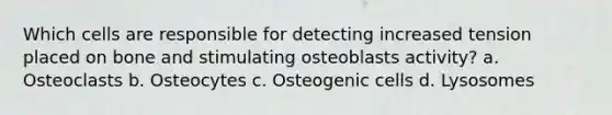 Which cells are responsible for detecting increased tension placed on bone and stimulating osteoblasts activity? a. Osteoclasts b. Osteocytes c. Osteogenic cells d. Lysosomes