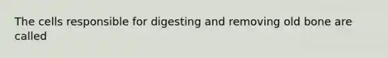 The cells responsible for digesting and removing old bone are called