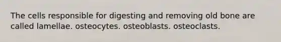 The cells responsible for digesting and removing old bone are called lamellae. osteocytes. osteoblasts. osteoclasts.