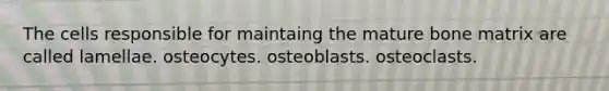 The cells responsible for maintaing the mature bone matrix are called lamellae. osteocytes. osteoblasts. osteoclasts.