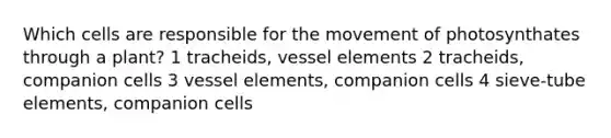 Which cells are responsible for the movement of photosynthates through a plant? 1 tracheids, vessel elements 2 tracheids, companion cells 3 vessel elements, companion cells 4 sieve-tube elements, companion cells