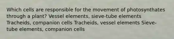 Which cells are responsible for the movement of photosynthates through a plant? Vessel elements, sieve-tube elements Tracheids, companion cells Tracheids, vessel elements Sieve-tube elements, companion cells