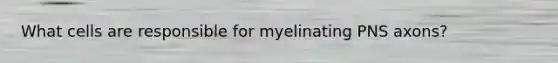 What cells are responsible for myelinating PNS axons?