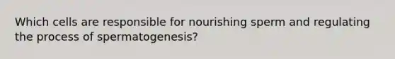 Which cells are responsible for nourishing sperm and regulating the process of spermatogenesis?