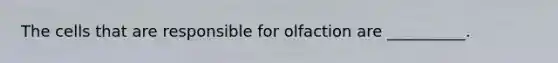 The cells that are responsible for olfaction are __________.