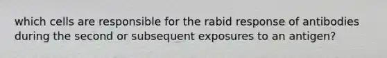 which cells are responsible for the rabid response of antibodies during the second or subsequent exposures to an antigen?