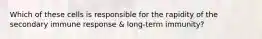 Which of these cells is responsible for the rapidity of the secondary immune response & long-term immunity?
