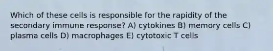 Which of these cells is responsible for the rapidity of the secondary immune response? A) cytokines B) memory cells C) plasma cells D) macrophages E) cytotoxic T cells