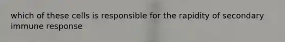 which of these cells is responsible for the rapidity of secondary immune response