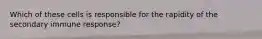 Which of these cells is responsible for the rapidity of the secondary immune response?