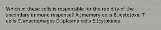 Which of these cells is responsible for the rapidity of the secondary immune response? A.)memory cells B.)cytotoxic T cells C.)macrophages D.)plasma cells E.)cytokines