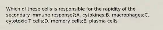 Which of these cells is responsible for the rapidity of the secondary immune response?;A. cytokines;B. macrophages;C. cytotoxic T cells;D. memory cells;E. plasma cells