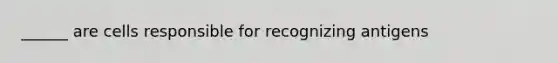 ______ are cells responsible for recognizing antigens