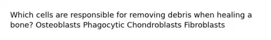 Which cells are responsible for removing debris when healing a bone? Osteoblasts Phagocytic Chondroblasts Fibroblasts