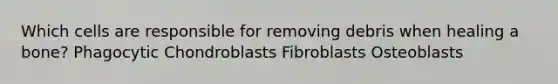 Which cells are responsible for removing debris when healing a bone? Phagocytic Chondroblasts Fibroblasts Osteoblasts