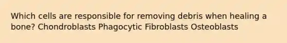 Which cells are responsible for removing debris when healing a bone? Chondroblasts Phagocytic Fibroblasts Osteoblasts