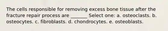 The cells responsible for removing excess bone tissue after the fracture repair process are _______ Select one: a. osteoclasts. b. osteocytes. c. fibroblasts. d. chondrocytes. e. osteoblasts.