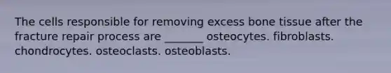 The cells responsible for removing excess bone tissue after the fracture repair process are _______ osteocytes. fibroblasts. chondrocytes. osteoclasts. osteoblasts.