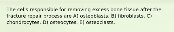 The cells responsible for removing excess bone tissue after the fracture repair process are A) osteoblasts. B) fibroblasts. C) chondrocytes. D) osteocytes. E) osteoclasts.