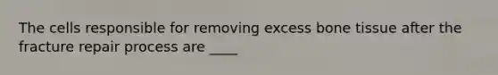 The cells responsible for removing excess bone tissue after the fracture repair process are ____