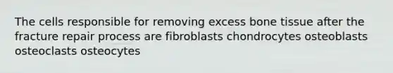 The cells responsible for removing excess bone tissue after the fracture repair process are fibroblasts chondrocytes osteoblasts osteoclasts osteocytes