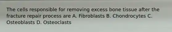 The cells responsible for removing excess bone tissue after the fracture repair process are A. Fibroblasts B. Chondrocytes C. Osteoblasts D. Osteoclasts