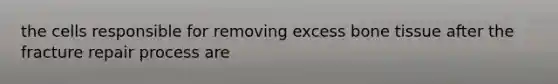 the cells responsible for removing excess bone tissue after the fracture repair process are