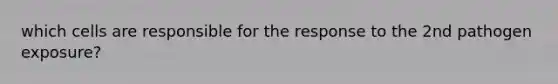 which cells are responsible for the response to the 2nd pathogen exposure?