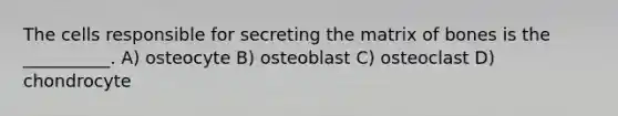 The cells responsible for secreting the matrix of bones is the __________. A) osteocyte B) osteoblast C) osteoclast D) chondrocyte