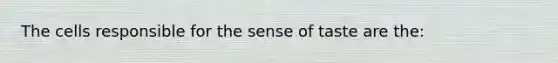 The cells responsible for the sense of taste are the: